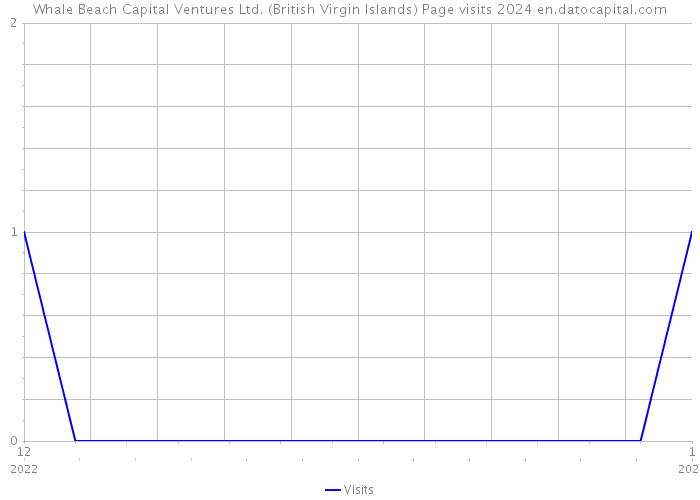 Whale Beach Capital Ventures Ltd. (British Virgin Islands) Page visits 2024 