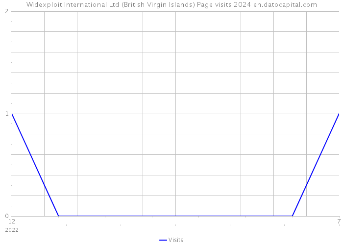 Widexploit International Ltd (British Virgin Islands) Page visits 2024 