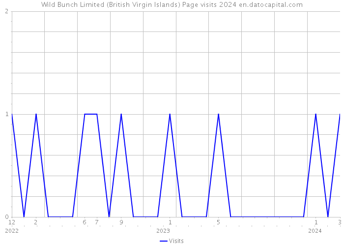 Wild Bunch Limited (British Virgin Islands) Page visits 2024 