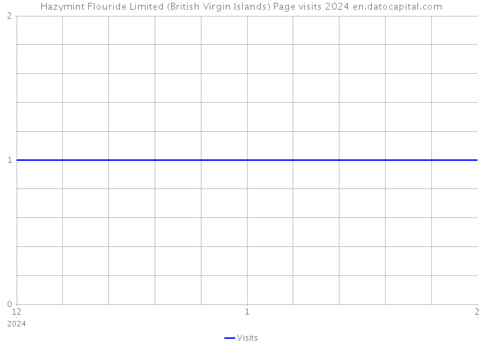 Hazymint Flouride Limited (British Virgin Islands) Page visits 2024 