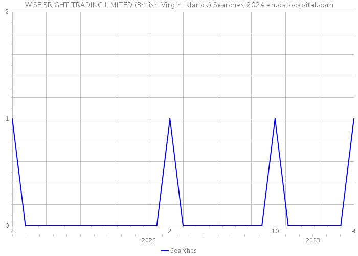 WISE BRIGHT TRADING LIMITED (British Virgin Islands) Searches 2024 
