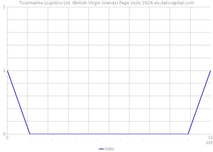 Tourmaline Logistics Ltd. (British Virgin Islands) Page visits 2024 