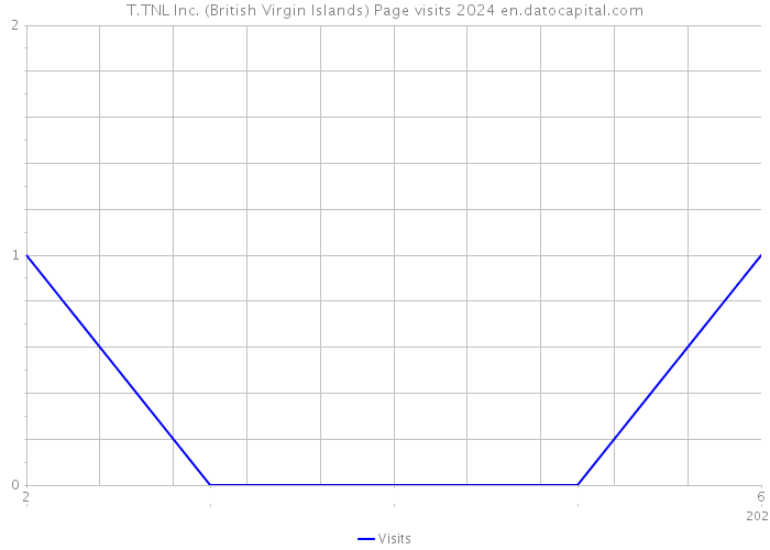 T.TNL Inc. (British Virgin Islands) Page visits 2024 