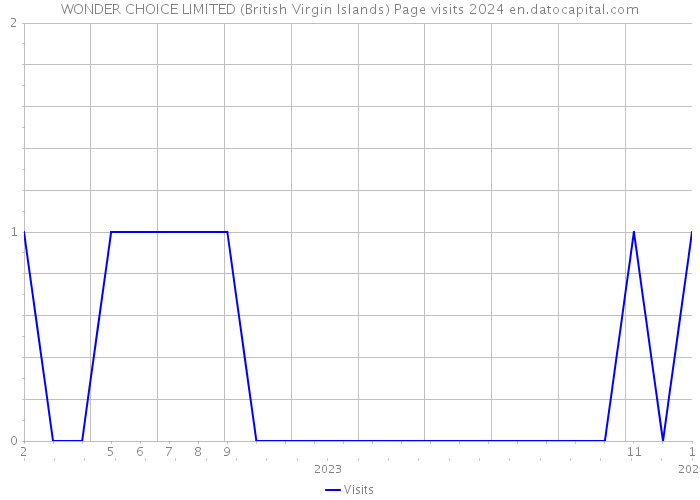 WONDER CHOICE LIMITED (British Virgin Islands) Page visits 2024 