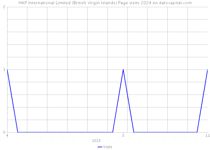 HAP International Limited (British Virgin Islands) Page visits 2024 