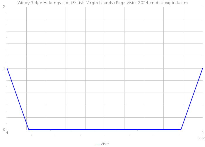 Windy Ridge Holdings Ltd. (British Virgin Islands) Page visits 2024 