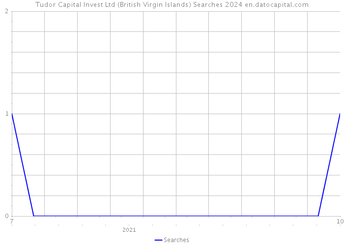 Tudor Capital Invest Ltd (British Virgin Islands) Searches 2024 