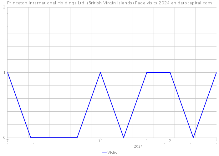 Princeton International Holdings Ltd. (British Virgin Islands) Page visits 2024 