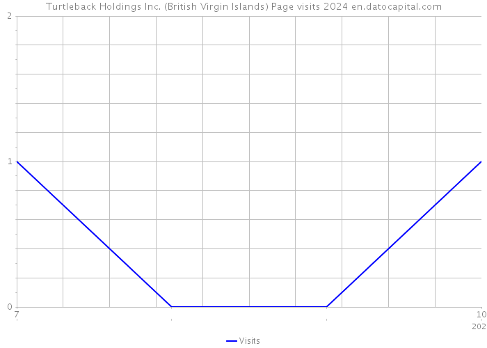 Turtleback Holdings Inc. (British Virgin Islands) Page visits 2024 
