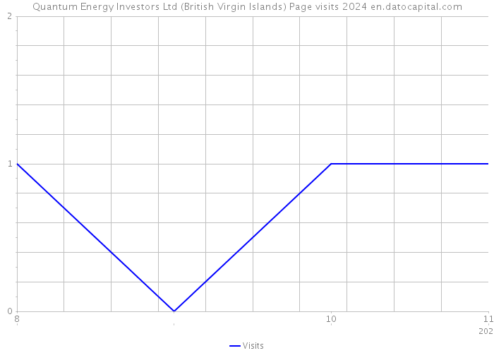 Quantum Energy Investors Ltd (British Virgin Islands) Page visits 2024 