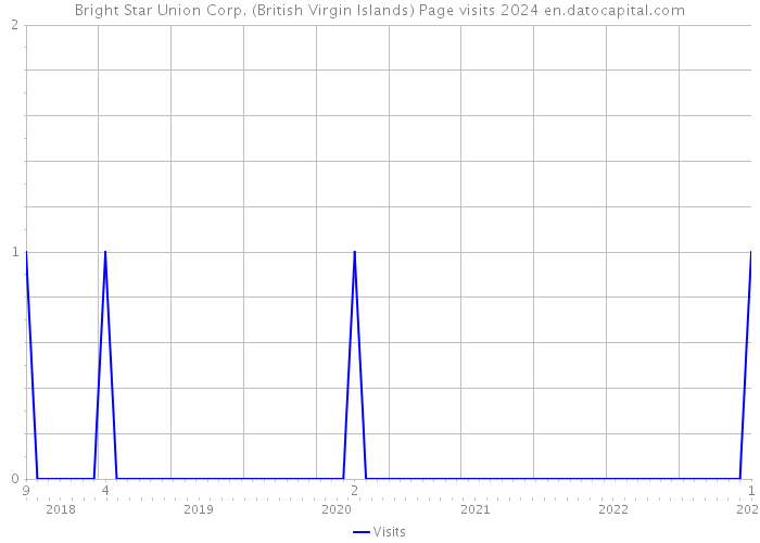Bright Star Union Corp. (British Virgin Islands) Page visits 2024 