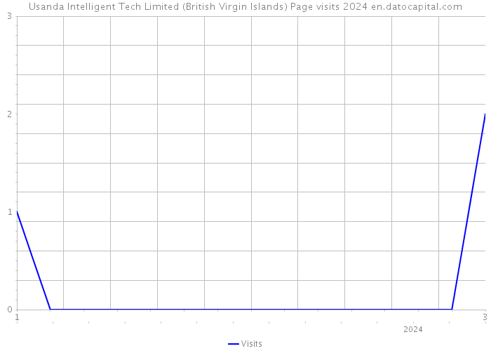 Usanda Intelligent Tech Limited (British Virgin Islands) Page visits 2024 