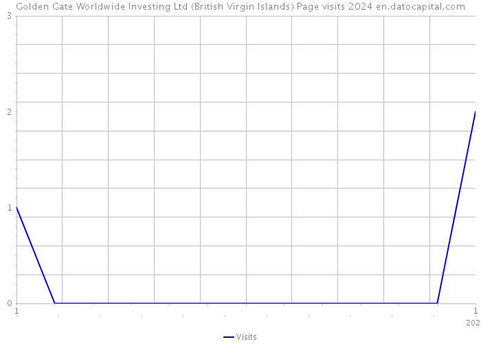 Golden Gate Worldwide Investing Ltd (British Virgin Islands) Page visits 2024 