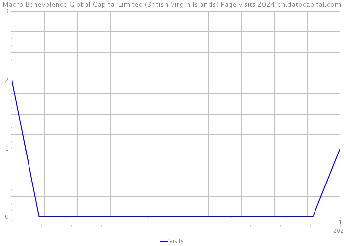 Macro Benevolence Global Capital Limited (British Virgin Islands) Page visits 2024 