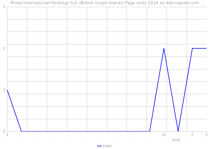 Prime International Holdings S.A. (British Virgin Islands) Page visits 2024 