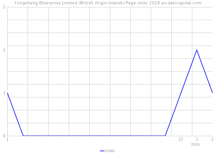 Yongsheng Enterprise Limited (British Virgin Islands) Page visits 2024 