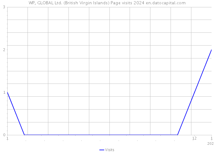 WP, GLOBAL Ltd. (British Virgin Islands) Page visits 2024 