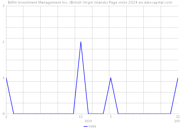 Bitfin Investment Management Inc. (British Virgin Islands) Page visits 2024 
