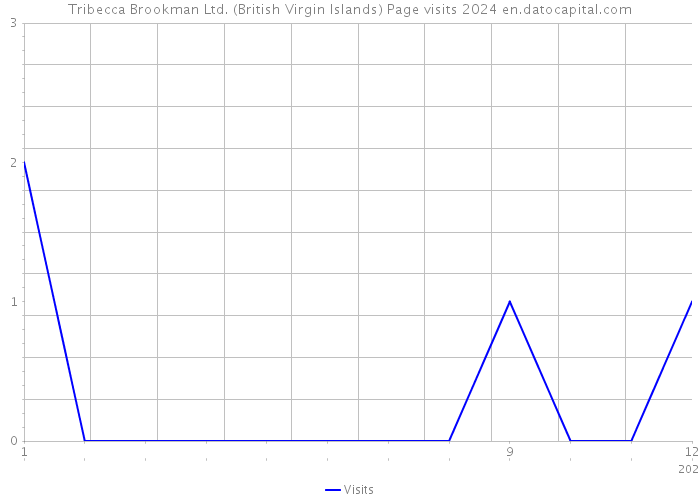 Tribecca Brookman Ltd. (British Virgin Islands) Page visits 2024 