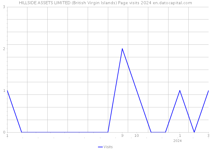 HILLSIDE ASSETS LIMITED (British Virgin Islands) Page visits 2024 