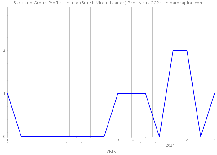 Buckland Group Profits Limited (British Virgin Islands) Page visits 2024 