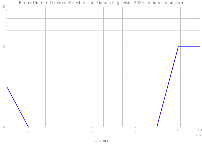 Future Diamond Limited (British Virgin Islands) Page visits 2024 