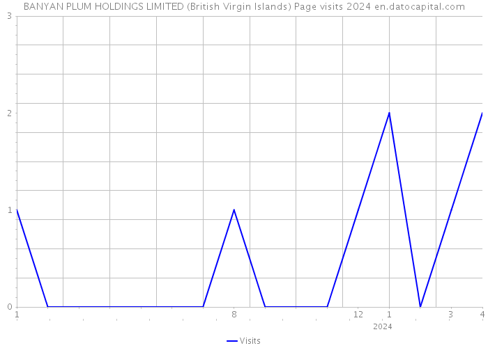 BANYAN PLUM HOLDINGS LIMITED (British Virgin Islands) Page visits 2024 