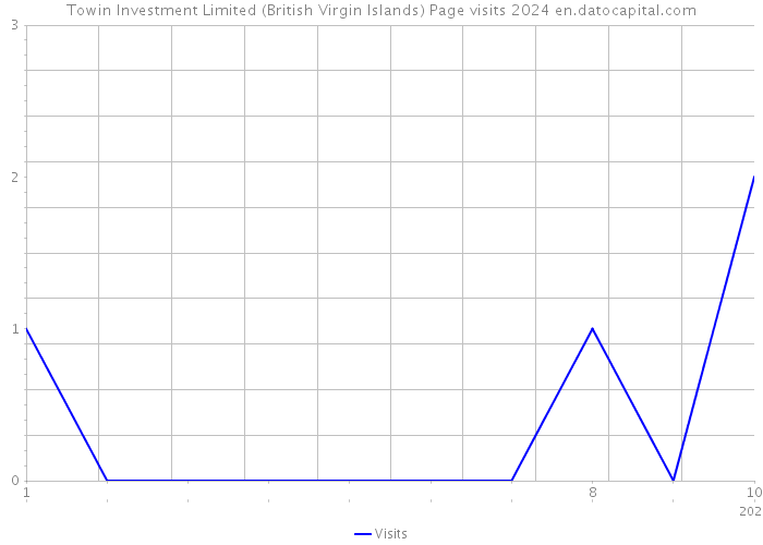 Towin Investment Limited (British Virgin Islands) Page visits 2024 