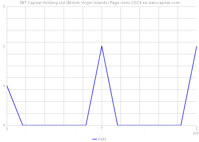 SBT Capital Holding Ltd (British Virgin Islands) Page visits 2024 