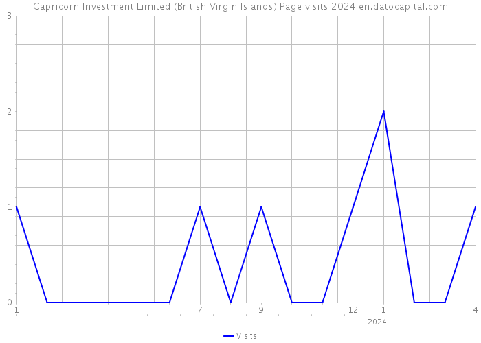 Capricorn Investment Limited (British Virgin Islands) Page visits 2024 