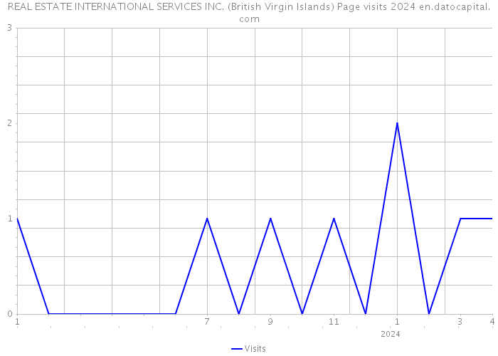 REAL ESTATE INTERNATIONAL SERVICES INC. (British Virgin Islands) Page visits 2024 