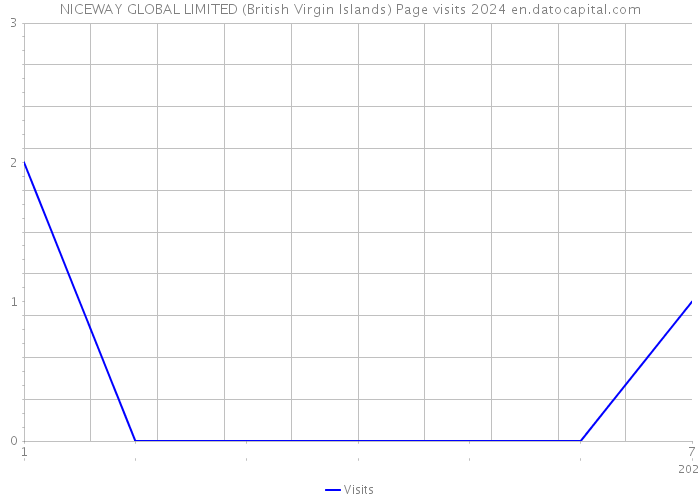 NICEWAY GLOBAL LIMITED (British Virgin Islands) Page visits 2024 