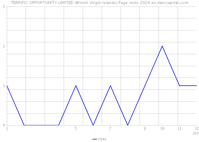 TERRIFIC OPPORTUNITY LIMITED (British Virgin Islands) Page visits 2024 
