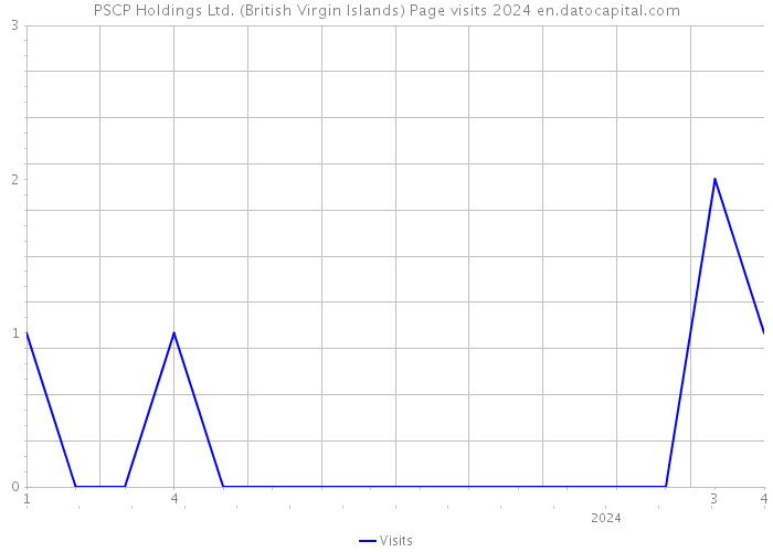 PSCP Holdings Ltd. (British Virgin Islands) Page visits 2024 