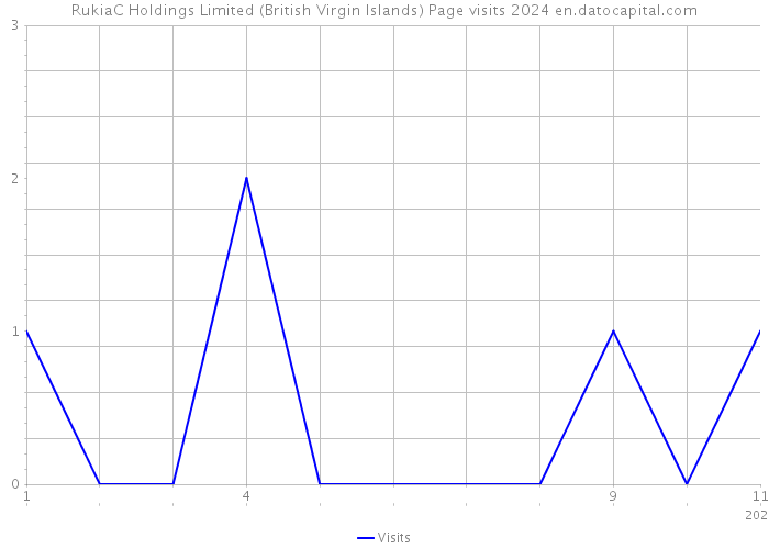 RukiaC Holdings Limited (British Virgin Islands) Page visits 2024 