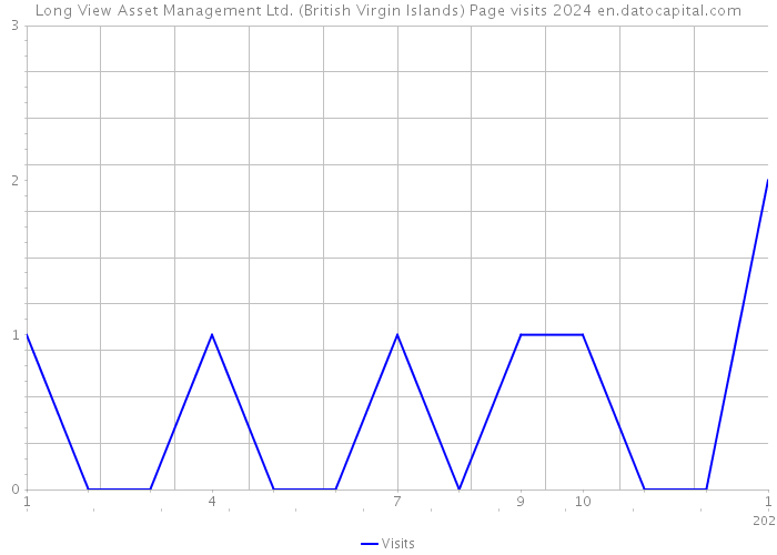 Long View Asset Management Ltd. (British Virgin Islands) Page visits 2024 