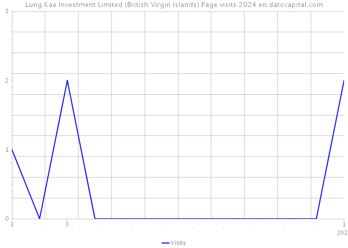 Lung Kae Investment Limited (British Virgin Islands) Page visits 2024 