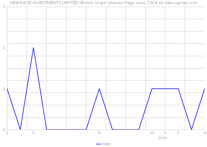 NEW RAISE INVESTMENTS LIMITED (British Virgin Islands) Page visits 2024 