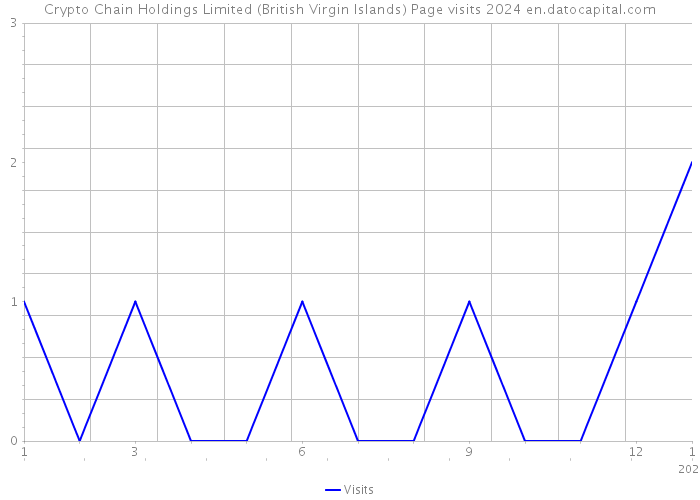Crypto Chain Holdings Limited (British Virgin Islands) Page visits 2024 