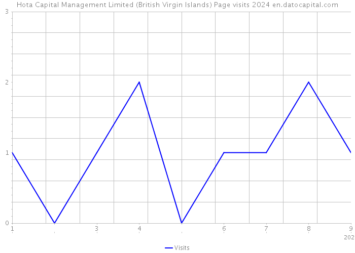 Hota Capital Management Limited (British Virgin Islands) Page visits 2024 