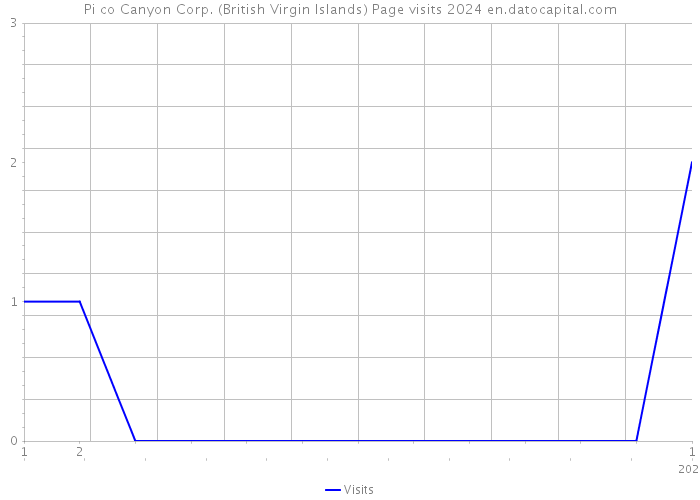 Pi co Canyon Corp. (British Virgin Islands) Page visits 2024 