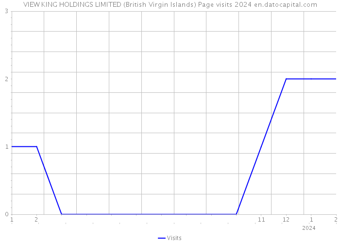 VIEW KING HOLDINGS LIMITED (British Virgin Islands) Page visits 2024 