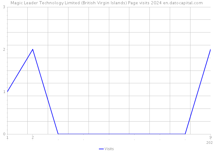Magic Leader Technology Limited (British Virgin Islands) Page visits 2024 