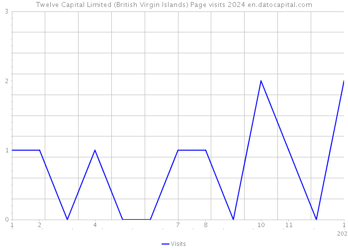 Twelve Capital Limited (British Virgin Islands) Page visits 2024 