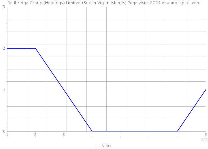 Redbridge Group (Holdings) Limited (British Virgin Islands) Page visits 2024 
