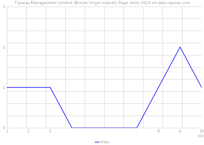 Topway Management Limited (British Virgin Islands) Page visits 2024 