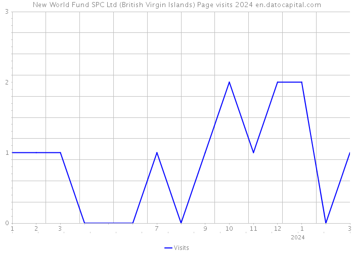 New World Fund SPC Ltd (British Virgin Islands) Page visits 2024 