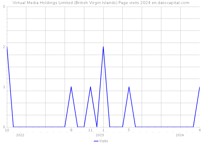 Virtual Media Holdings Limited (British Virgin Islands) Page visits 2024 