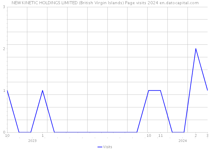 NEW KINETIC HOLDINGS LIMITED (British Virgin Islands) Page visits 2024 