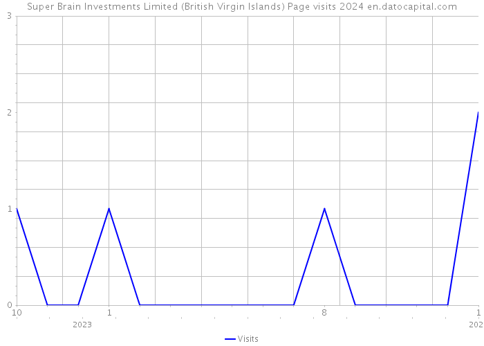 Super Brain Investments Limited (British Virgin Islands) Page visits 2024 